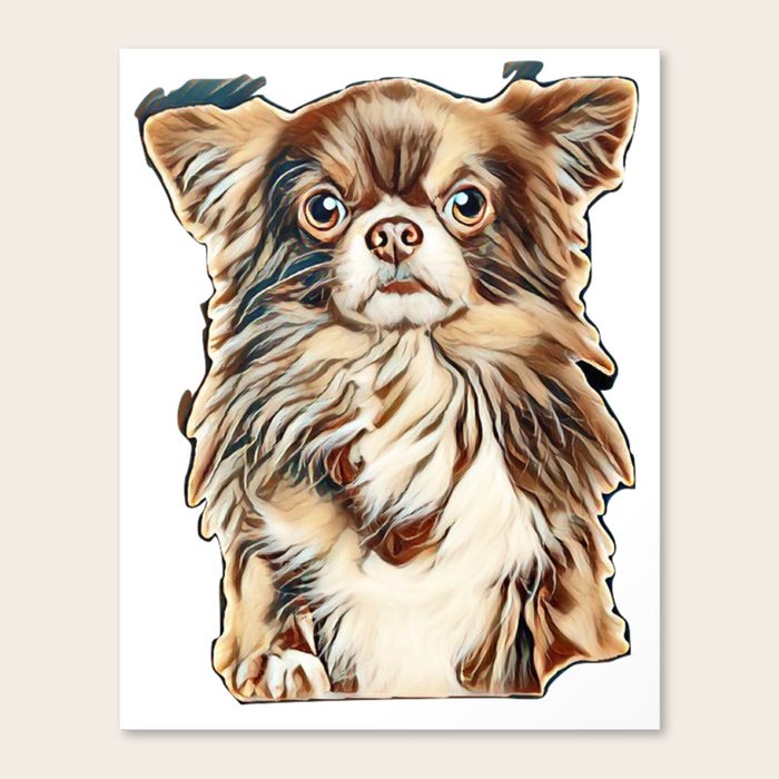 Beautiful Brown Longhaired Chihuahua Dog Above Banner Isolated On