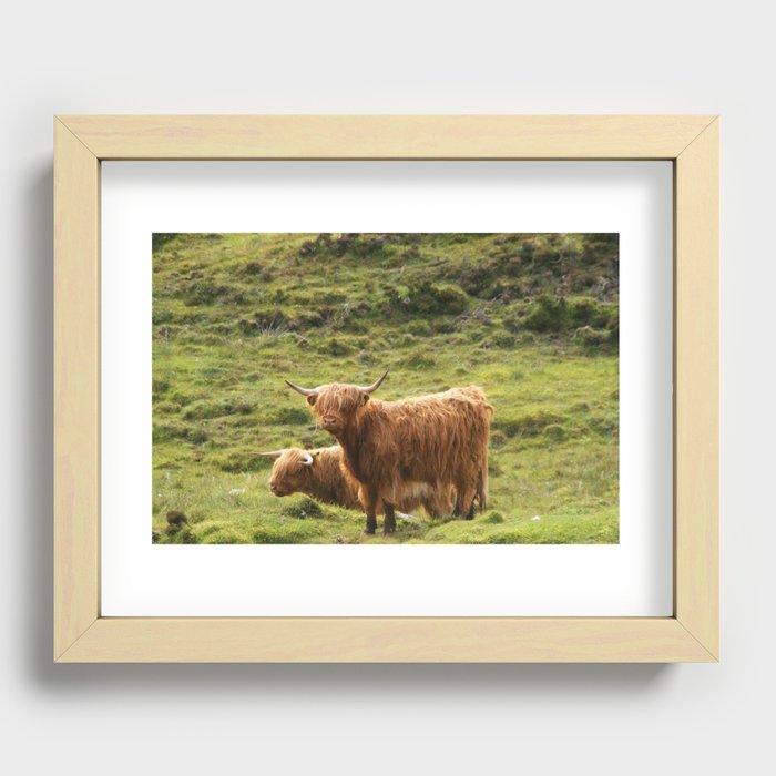 Highland Cows Recessed Framed Print