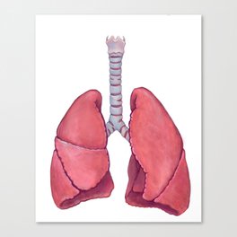 Human Anatomy Lungs Canvas Print