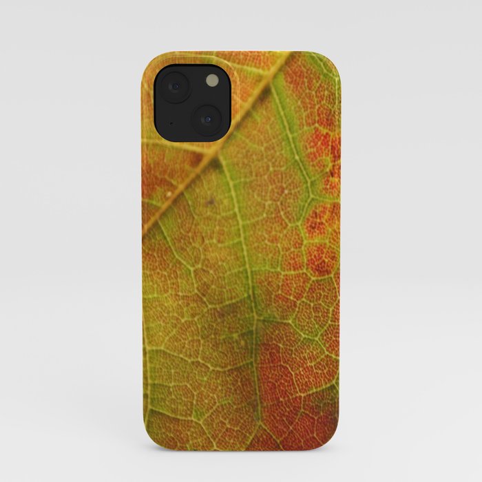 Autumn's Fire II iPhone Case