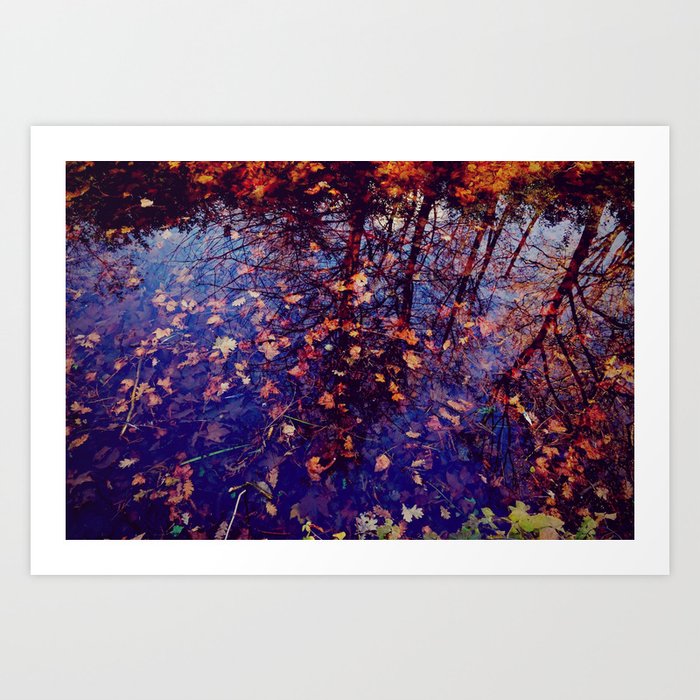 Last Days Of Autumn Life And Death In Nature Fine Art Conceptual Photography Art Print By Carolina Reina Society6