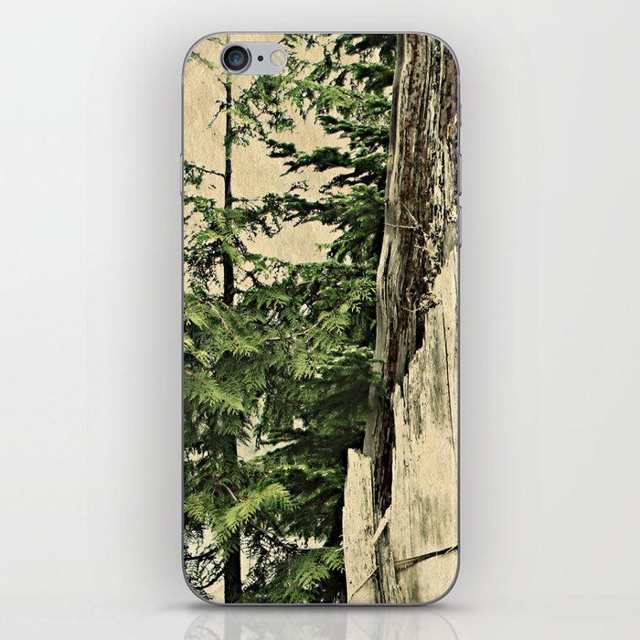 Northwest Forest iPhone Skin