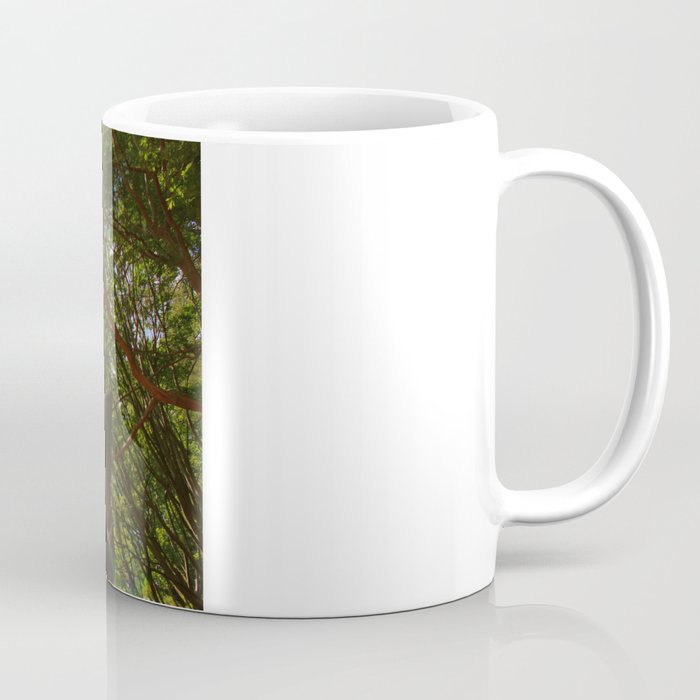 Enlightened Coffee Mug