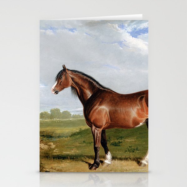 A Clydesdale Stallion Stationery Cards