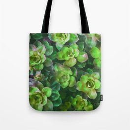 Fleshy Green Succulent - Watercolor Design Tote Bag