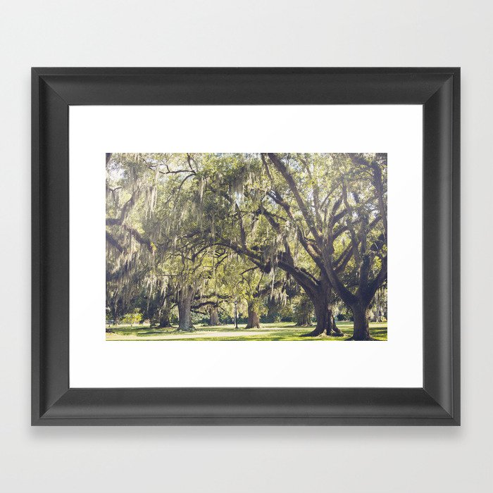 Audubon Park - New Orleans Framed Art Print