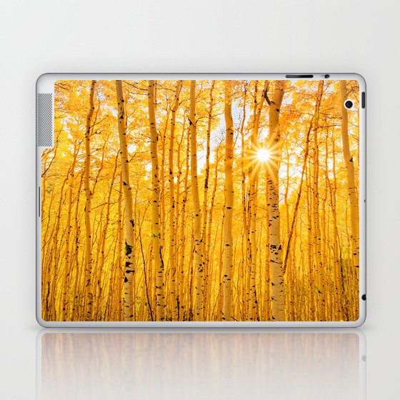 Aspens Of Autumn Colorado Nature Colorful Trees In Fall Landscape Laptop & iPad Skin