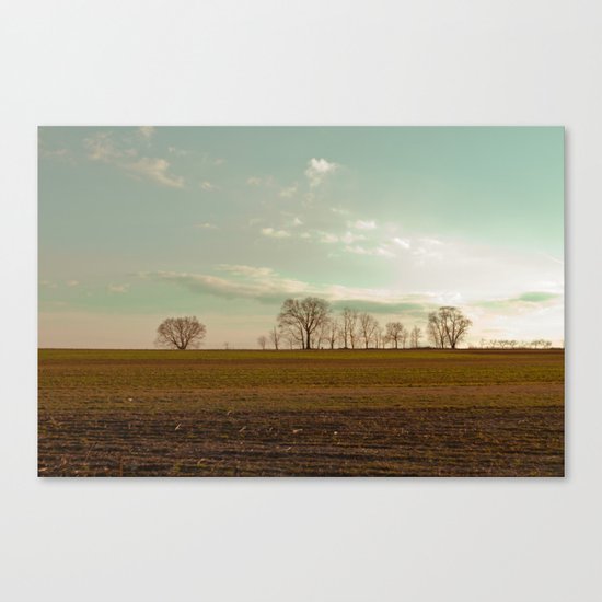 Farmland Trees I Canvas Print