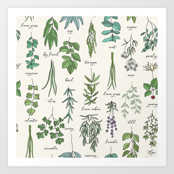 Herbs Collection Pattern Art Print