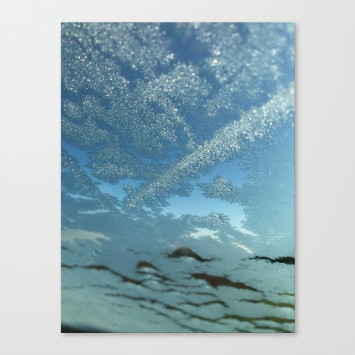 Frosted Snow Canvas Print