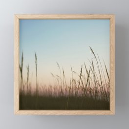 Sea Grass Framed Mini Art Print