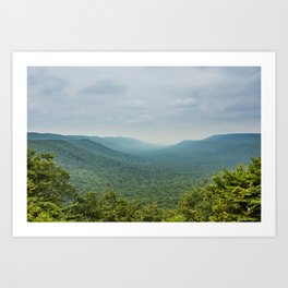 Trees In The Valley Art Print