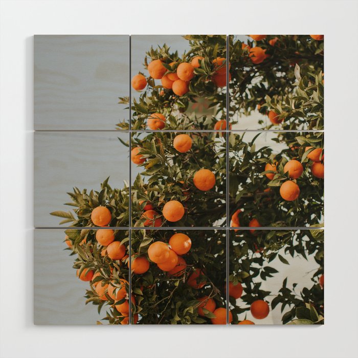 Mediterranean Oranges Wood Wall Art