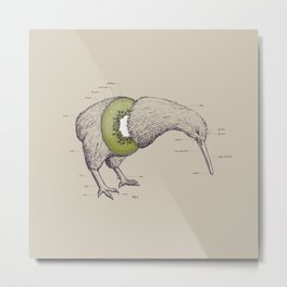 Kiwi Anatomy Metal Print | Animal, Typography, Funny, Curated, Collage 