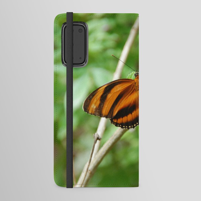 Mexico Photography - Beautiful Orange Butterfly With Black Stripes Android Wallet Case