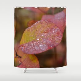 waterdrops red Shower Curtain