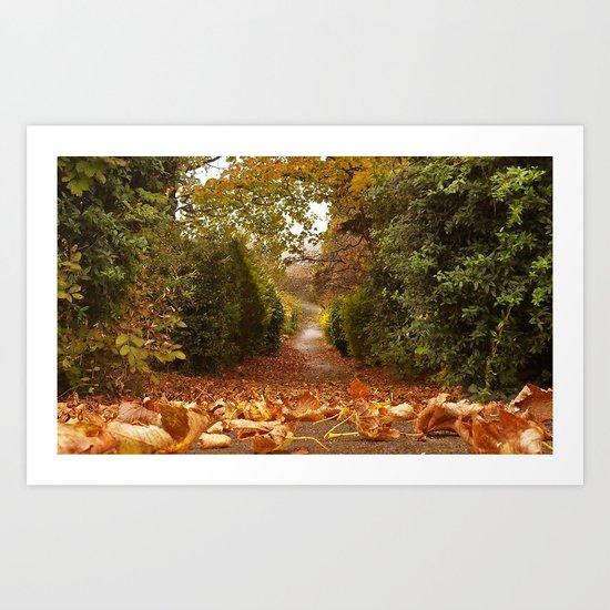 Autumn leaves Art Print