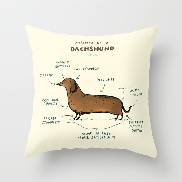 Anatomy of a Dachshund Throw Pillow