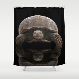Sulcata Tortoise with Reflection Shower Curtain