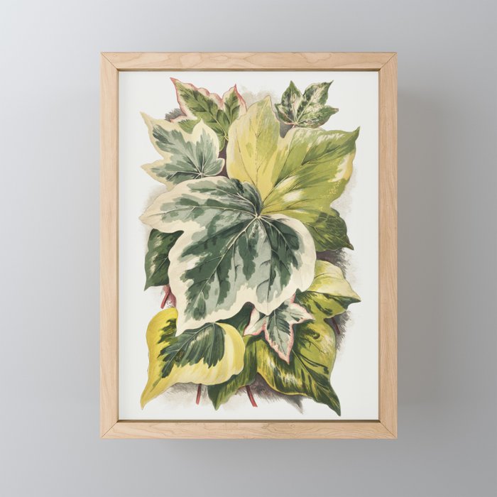 Ivy Leaves Framed Mini Art Print