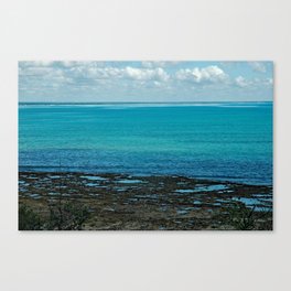 Tropical Coral Beach Seascape Landscape Canvas Print