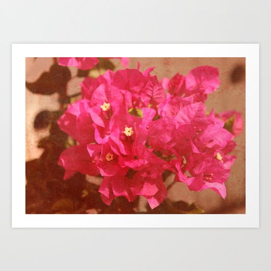 Bougainvillea Art Print