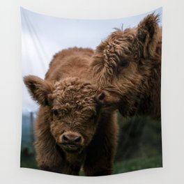 Scottish Highland Cattle Calves - Babies playing Wall Tapestry