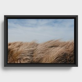 Beach life | Sand dunes | Nature | Landscape | Photography art print Framed Canvas