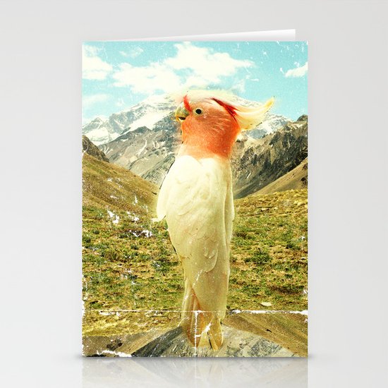 Parrot Mountain Stationery Cards