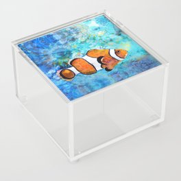 Sea Clown - Colorful Tropical Fishy Fish Art Acrylic Box