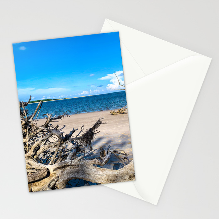 Big Talbot Island State Park Florida Stationery Cards By