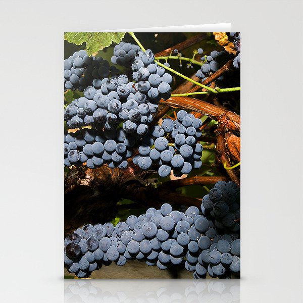 Grapes Vineyard Stationery Cards