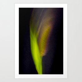 Abstract Bristle Grass-Fleur Blur Series Art Print