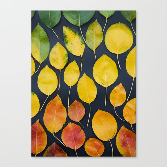 Leaf fall Canvas Print