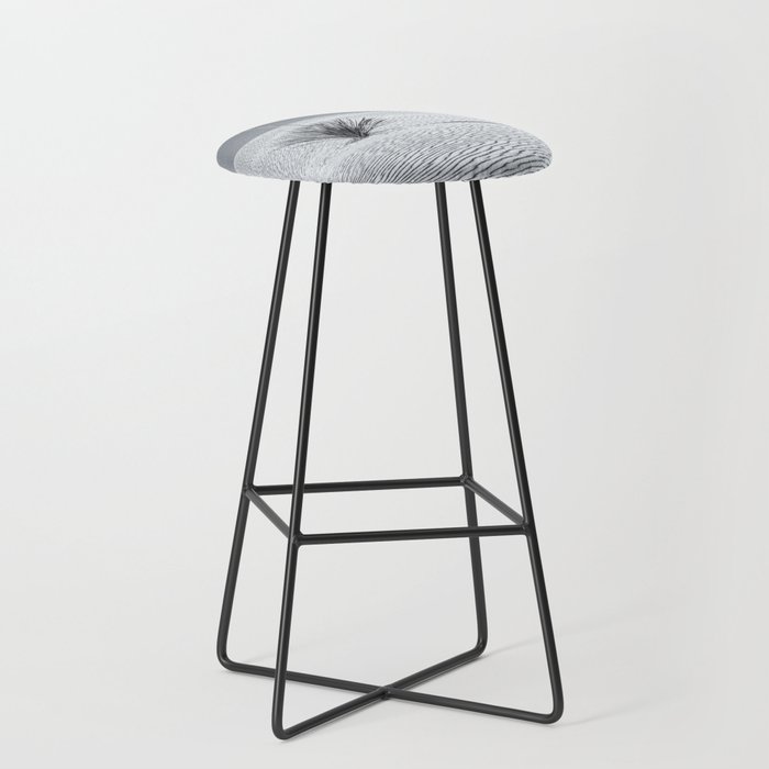 Lone Yucca bw Bar Stool