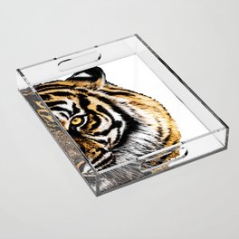 Striped Tiger Big Cat Art - Burning Acrylic Tray