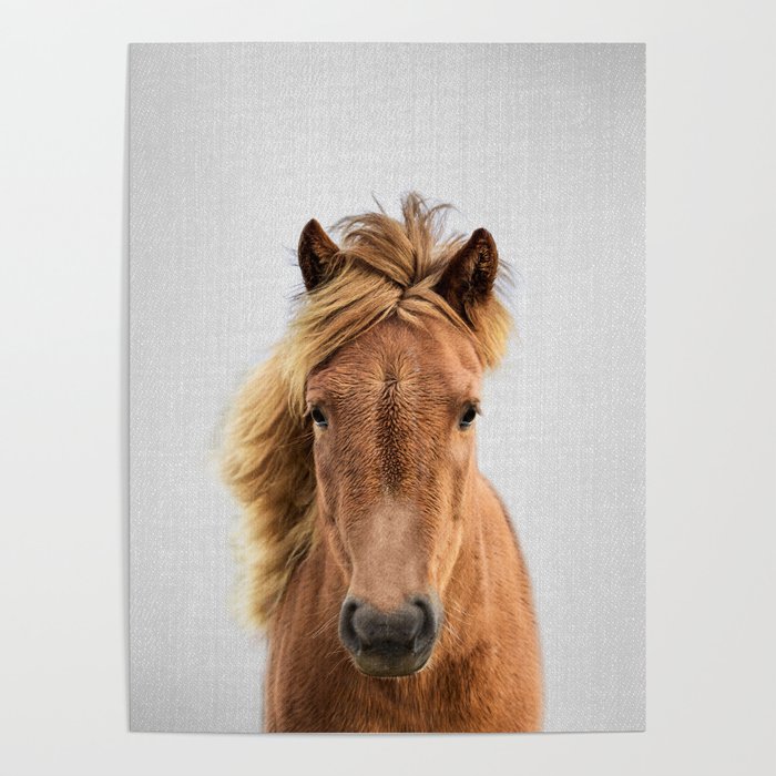 Wild Horse - Colorful Poster