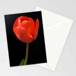 Red Tulip Stationery Cards
