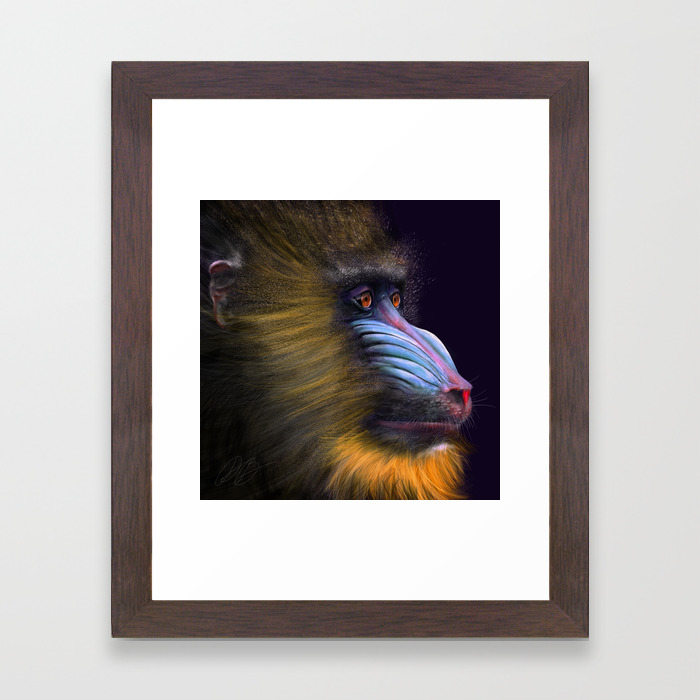 Mandrill Baboon Framed Art Print By Donnabrowning Society6 Mandrill Baboon Framed Art Print By Donnabrowning Society6