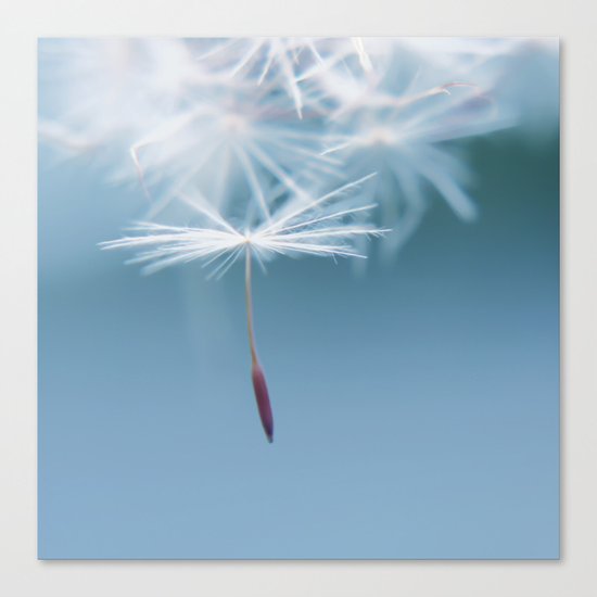 Holding on Canvas Print