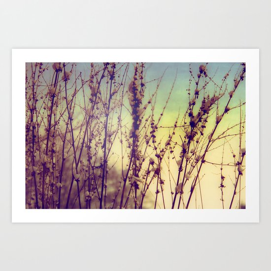 snow wool grass Art Print