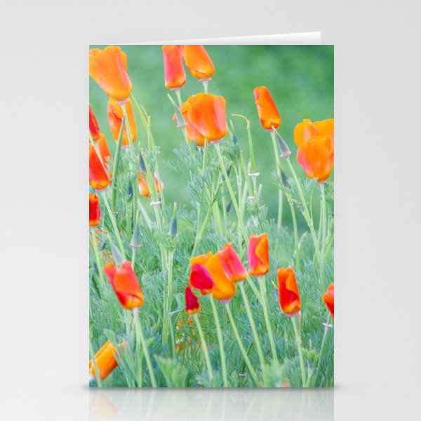 California Poppies Stationery Cards