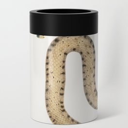Bengal & Lozenge Snakes Can Cooler