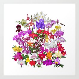 Orchid Flower Art Prints For Any Decor Style Society6