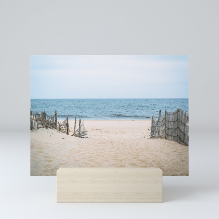 Mini Art Print