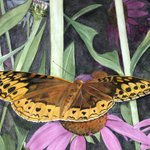 Tracey L Waldt
