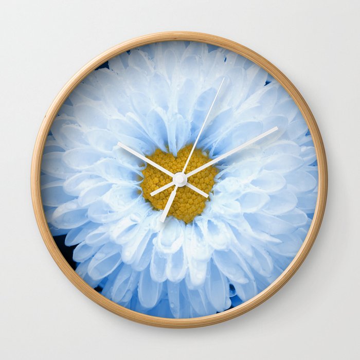 100% Artist Commissions Donated - Floral - Flowers Blue Tinted Chrysanthemums Nature Photo For Ukraine Refugees Wall Clock