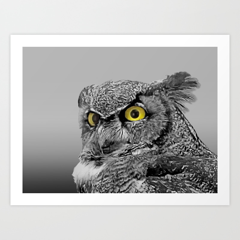 Picture Poster Animal Bird Framed Print Black & White Owl with Yellow Eyes 