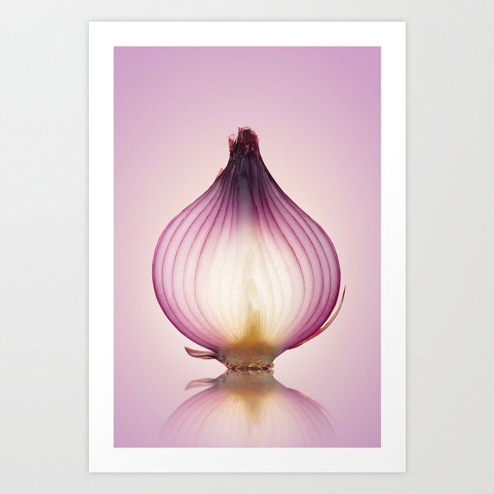 Red Onion Translucent layers Art Print