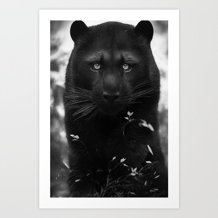Black panther Art Print